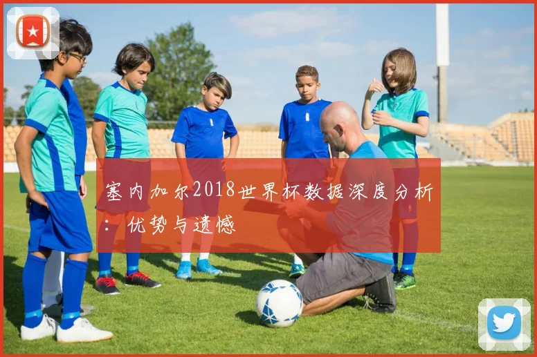 塞内加尔2018世界杯数据深度分析：优势与遗憾