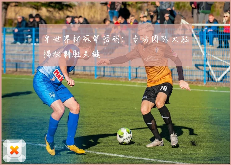 年世界杯冠军密码：专访团队大脑揭秘制胜关键