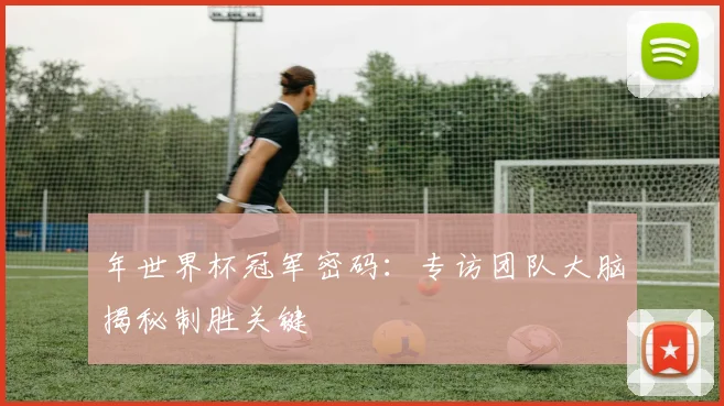年世界杯冠军密码:专访团队大脑揭秘制胜关键