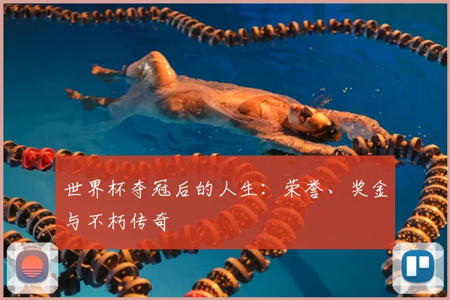 世界杯夺冠后的人生：荣誉、奖金与不朽传奇