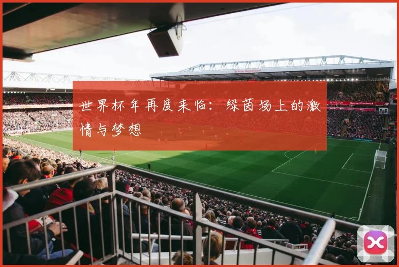 世界杯年再度来临：绿茵场上的激情与梦想