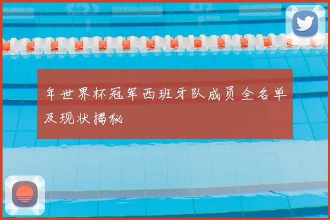 年世界杯冠军西班牙队成员全名单及现状揭秘