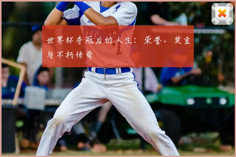 世界杯夺冠后的人生：荣誉、奖金与不朽传奇
