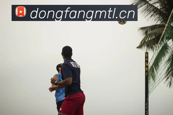 世界杯在线购买网站平台生态图